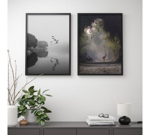 Plakat, mglisty poranek BILD 305.335.15