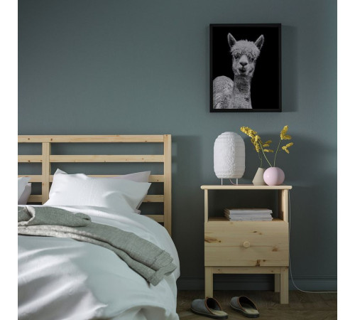 Plakat, Tatsi BILD 504.420.67