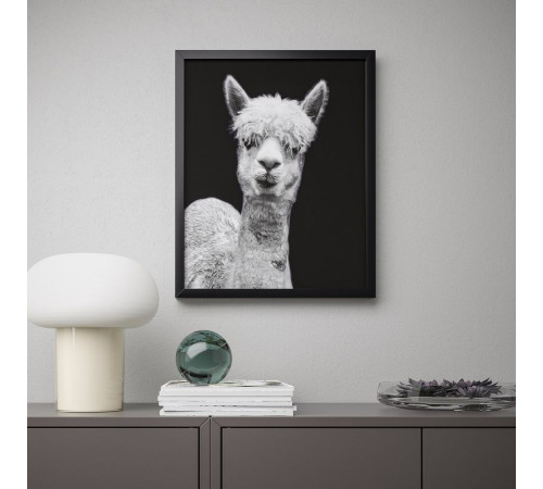 Plakat, Tatsi BILD 504.420.67