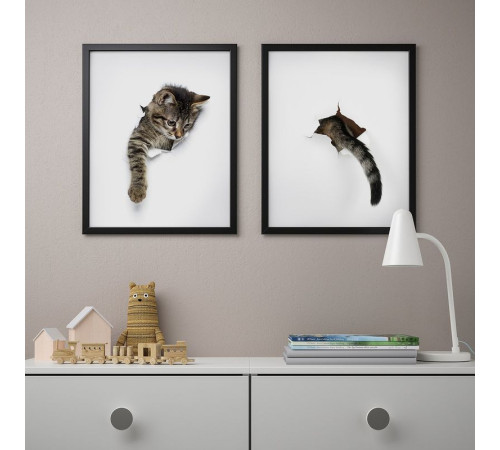 Plakat, pojawienie się kota BILD 505.332.94