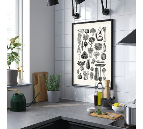 Plakat, różne warzywa BILD 706.019.94