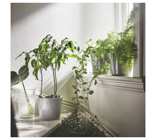 Wazon, szkło bezbarwne/wzór SMÄLLSPIREA 905.421.78