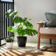 Osłonka doniczki, do wewnątrz/na zewnątrz/ciemnoszary BROKTRAST 206.353.93