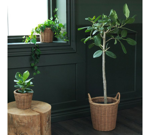 Osłonka doniczki, rattan KAKTUSFIKON 504.548.85