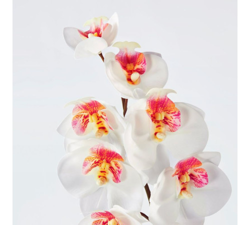 Sztuczny kwiat, do wewnątrz/na zewnątrz/Orchidea biały SMYCKA 105.871.56