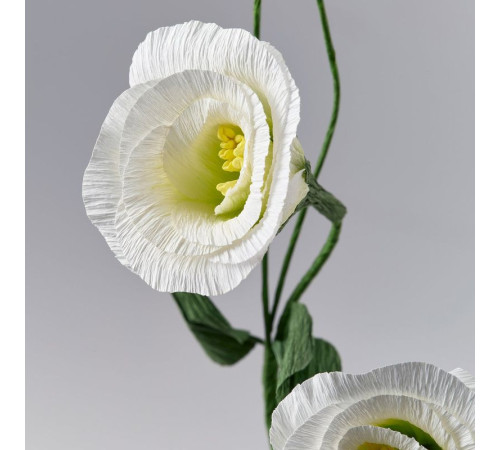Sztuczny kwiat, papier/eustoma biały GULDSPETT 106.149.75