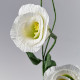 Sztuczny kwiat, papier/eustoma biały GULDSPETT 106.149.75