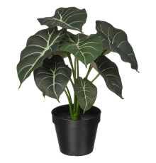 Sztuczna roślina doniczkowa, do wewnątrz/na zewnątrz alocasia FEJKA 006.008.70