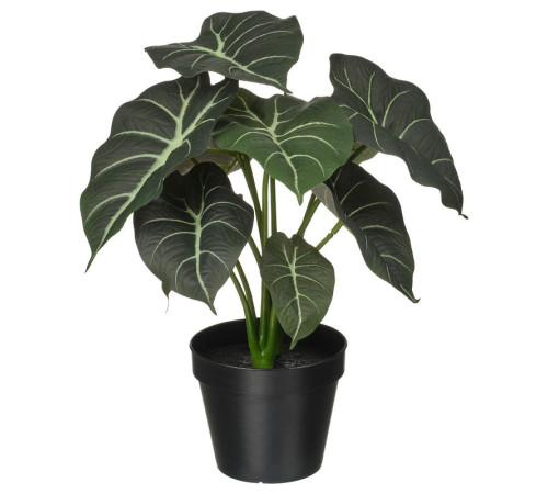 Sztuczna roślina doniczkowa, do wewnątrz/na zewnątrz alocasia FEJKA 006.008.70