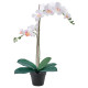 Sztuczna roślina doniczkowa, Orchidea biały FEJKA 206.152.34