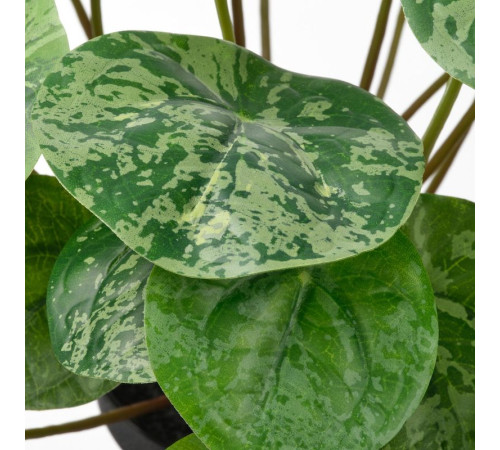 Sztuczna roślina doniczkowa, do wewnątrz/na zewnątrz Pilea FEJKA 306.008.59