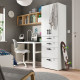 Szafa, biały biały/z 4 szufladami SMÅSTAD / PLATSA 694.283.25
