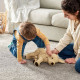 Pluszak, pies/golden retriever GOSIG GOLDEN 001.327.98