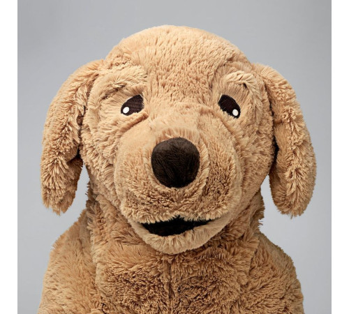 Pluszak, pies/golden retriever GOSIG GOLDEN 101.327.88