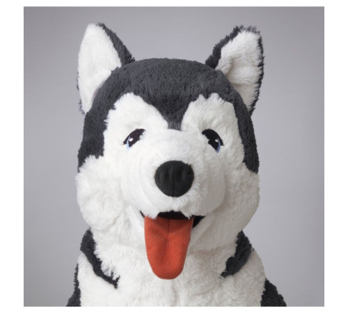 Pluszak, pies/siberian husky LIVLIG 402.979.90
