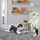 Pluszak, pies/siberian husky LIVLIG 402.979.90