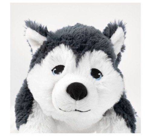 Pluszak, pies/siberian husky LIVLIG 904.142.70