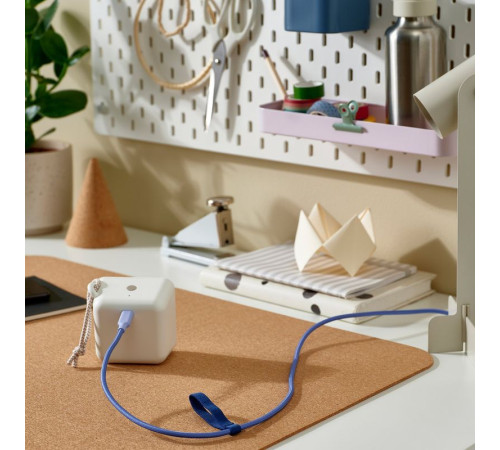 USB-C — USB-C, сиреневый LILLHULT 406.201.35