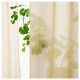 Firanki, 2 szt., beżowy/na taśmie ROSENROBINIA 305.648.56
