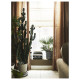 Roleta Rzymska, beżowy RINGBLOMMA 305.835.34