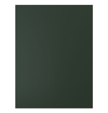 Дверь, темно-зеленая HAVSTORP 805.683.81