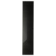 Drzwi szklane, czarny HÖGBO 405.234.03