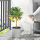 Konewka, biały IKEA PS 2002 602.899.46