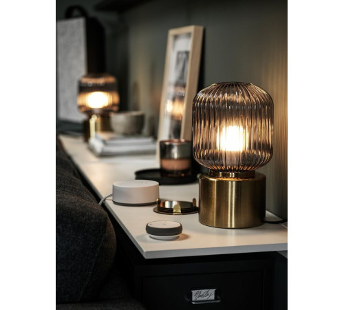 Lampa stołowa, mosiądz/szare szkło przezroczyste SOLKLINT 704.642.75