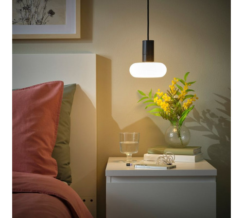 Lampa wisząca z żarówką, czarny/w kształcie pierścienia opalowa biel SUNNEBY / MOLNART 295.817.86