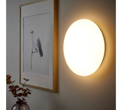 Lampa sufitowa/ścienna LED, smart bezprzewodowy przyciemniany/ciepły biały biały STOFTMOLN 205.107.79