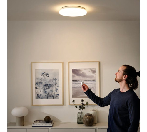 Lampa sufitowa/ścienna LED, smart bezprzewodowy przyciemniany/ciepły biały biały STOFTMOLN 205.107.79