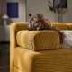 Sofa modułowa, 2-osobowa, z zagłówkiem/Samsala żółtobrązowy JÄTTEBO 396.083.18