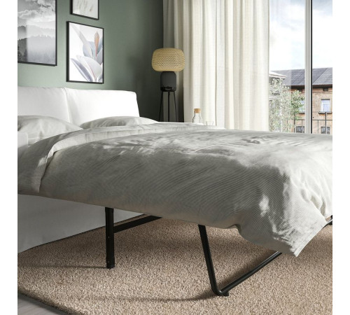 Двухместный раскладной диван Hallarp белого цвета HYLTARP 594.895.88